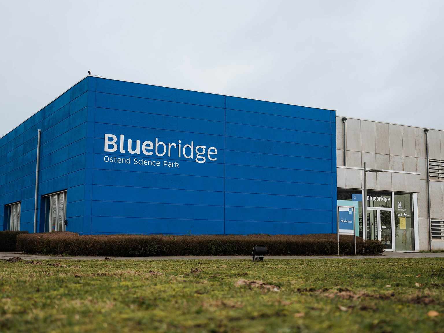 Geert Dangreau aangesteld als nieuwe CEO van Bluebridge